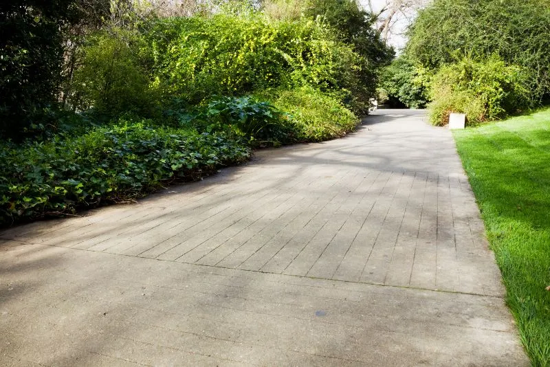Concrete footpath winding through a landscaped park with garden edging on either side